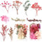 2 Boxen Heilok Natürliche Getrocknete Blumen,Getrocknete Gepresst Blumen Gemischte Getrocknete Blätter, Trockenblumen Set,Gepresste Blumen für DIY Basteln Handwerk Epoxidharz Scrapbooking Deko