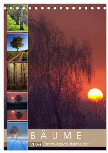 Bäume - Stimmungsvoll durchs Jahr (Tischkalender 2026 DIN A5 hoch), CALVENDO Monatskalender: 12 stimmungsvolle Portraits von Bäumen begleiten Sie durchs Jahr (CALVENDO Natur)