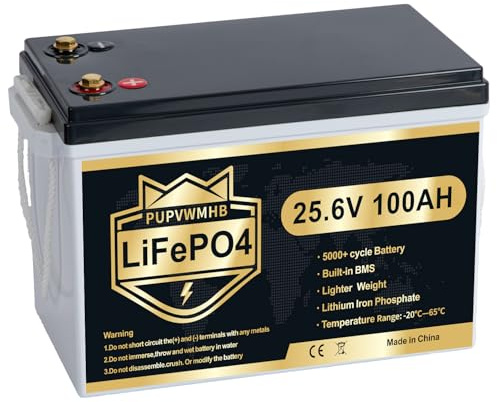 PUPVWMHB Mini Batteria LiFePO4 24V 100Ah, 15000+ Cicli, BMS 100A con Protezione da Bassa Temperatura, Alta Efficienza per Camper, Barche, Solare Off-Grid, Motori Elettrici e Sistemi di Accumulo