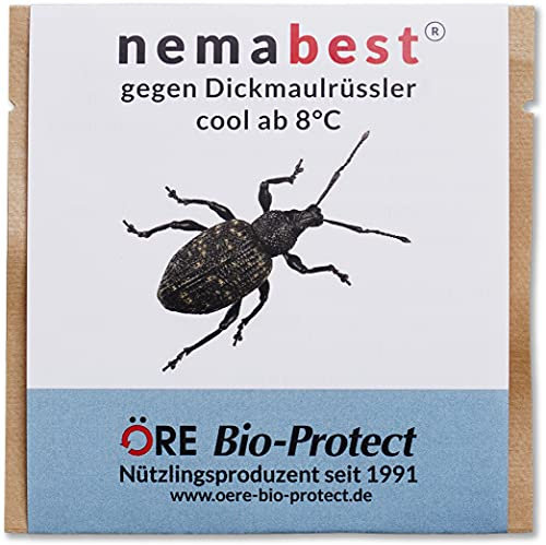 nemabest® cool HB+SF Nematoden zur Bekämpfung des Dickmaulrüsslers - 250 Mio. für 500m²