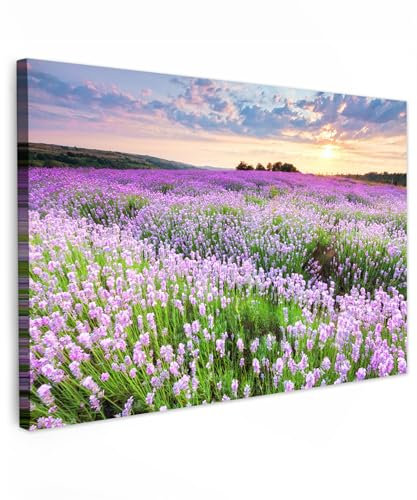 MuchoWow© Bilder 60x40 cm Wohnzimmer Deko Modern Wandbild Foto auf Leinwand Bild Schlafzimmer Room Decor Geschenke Blumen - Lavendel - Lila - Himmel - Sonnenuntergang - Wiese - Natur