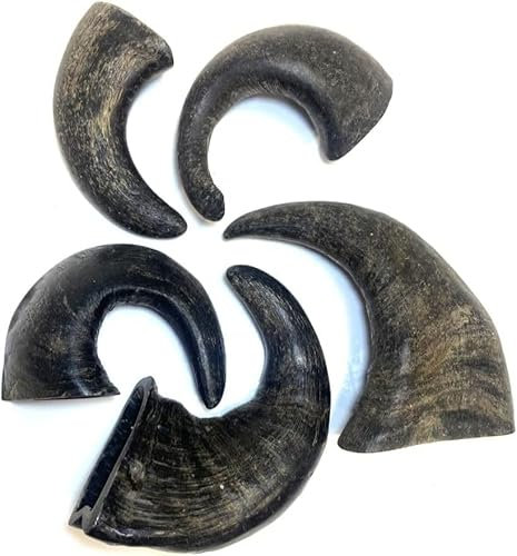 Small Buffalo Horns x 20 Natural Dog Treats Chews