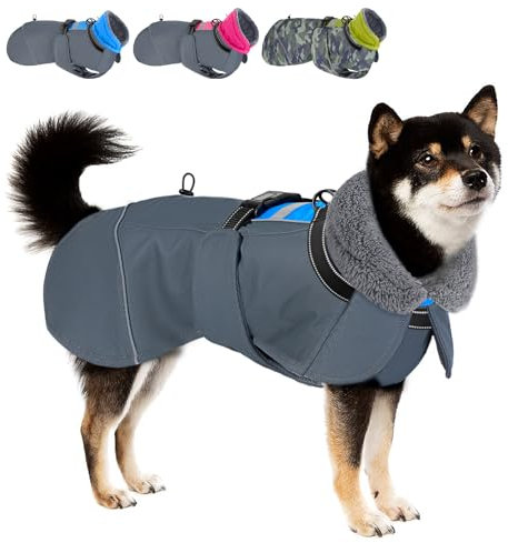 Eyein Hundemantel Winter für Kleine Hunde, Wasserdicht Hundejacke mit warmem Fleecefutter und Halsband, Winddichter Wintermantel Hund mit Bauchschutz und Verstellbarem Brustriemen, Blau, M