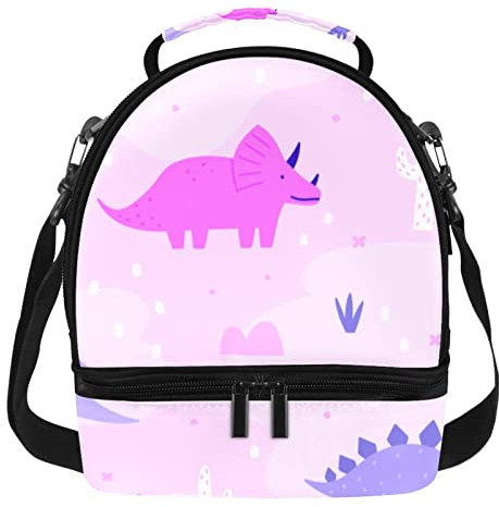 Lonchera reutilizable con aislamiento de doble cubierta, bolsa de asas con dinosaurios pastel paquete de comida para oficina, trabajo, escuela, picnic