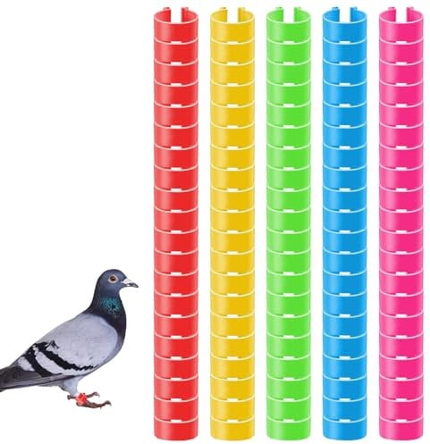 100 Stück 8mm GeflüGel FußRinge mit Bunter, BrieftaubenfußRing, KleingeflüGel Klemmringe, HäHnchen Beinringe, Taubenring, Geflügel Fußringe für Enten Küken Huhn Meertauben Gans Wildgeflügel Pute