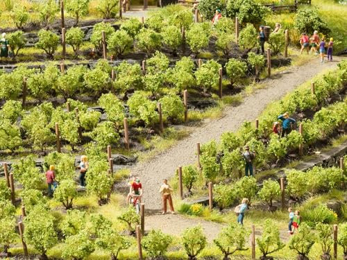 NOCH® Weinreben, 24 Rebstöcke, ca. 1,6 cm hoch für die Spurweiten N, Z ideal für Modellbau und Dioramen