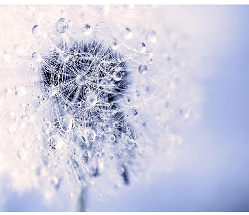 decomonkey Fototapete Pustelblume Natur 350x256 cm XXL Design Tapete Fototapeten Vlies Tapeten Vliestapete Wandtapete moderne Wand Schlafzimmer Wohnzimmer Blumen Abstrakt