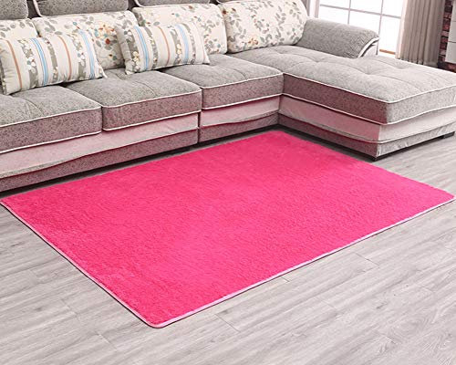 Kurzflor Teppich Waschbar Shaggy Teppich Sofa Matte für Wohnzimmer, Schlafzimmer, Esszimmer oder Kinderzimmer Rose 60 * 120cm