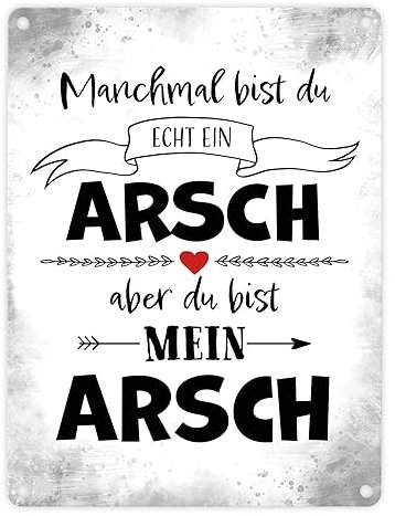 Manchmal bist du echt ein Arsch Metallschild in 15x20 cm zum Valentinstag mit lustigem Spruch zum Valentinstag als Geschenk für den Freund oder Männer die manchmal echt ein Arsch