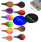 Njord Kalastus Inline Spoon Forelle in Box | UV Aktiv und Selbstleuchtende 3D Augen | Durchlaufblinker Forellenköder Inliner Spoon Inline Durchlauf Spoons Forelle Angel Set Magic Spoon (2g, 10er Set)