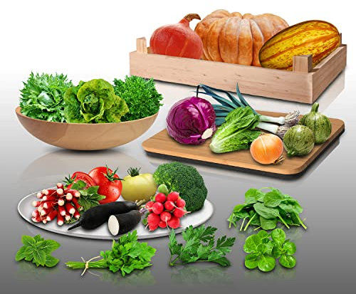 Lot de 2700 graines à semer - Le Grenier d'Abondance - Assortiment BIO - 22 sachets individuels