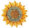 Kristalle Schmetterling Broschen Tier Corsage, Strass Schwan Brosche Pin Lustige Sonnenblume Emaille Brosche Tier Strass Brosche Schmetterling Brosche Pin Schmuck schmuck Für Pullover Schal