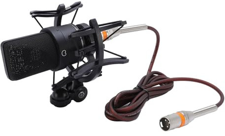 MENDUNER Professionelles Kondensatormikrofon mit Stoßdämpfer und Windschutzscheibe - 20 Hz -20 kHz Frequenzgang, Podcasting, Gaming und Live Streaming (Black)