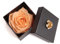 ROSEMARIE SCHULZ Heidelberg Ewige Rose Peachau haltbar 3 Jahre in Box Rose konserviert (Peach, 1 Rose)