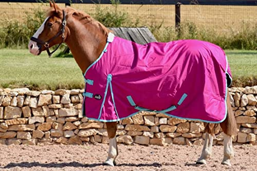 JUMP EQUESTRIAN NO FILL TURNOUT HORSE RUG 0G FILL OUTDOOR HORSE RUG RASPBERRY (6'6'')