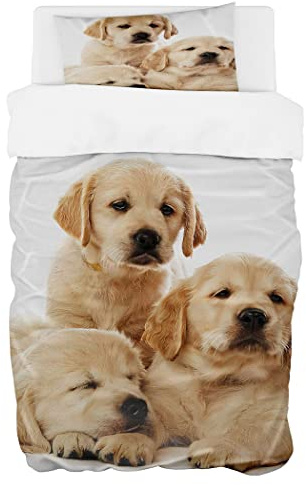Zomer Bettwäsche Set 135x200 cm 2teilig Bettbezug Mikrofaser Bettwäsche Deckenbezug mit DREI goldene Hunde Motiv - 1 Flauschige Bettdeckenbezug und 1 Kissenbezug 80x80cm