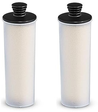 RAYPUR Clean Water Descaling Filter Premium Upright 2 PCS Steam Cleaner Water Purifier Descaling Cartridge ，Compatible For Karcher SC2 SC3