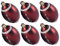 Ultimate Sport Ball Tree Ornament Set | 6 Unique Football & Basketball Ornaments for Festive Decor | Perfect for Christmas Trees, Themed Events, and for Sports Enthusiasts