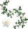 Veryhome Künstliche Seide Rose Garland Vine Silk Rosen Ivy Gefälschte Hängende Blumen Pflanze Floral Für Zuhause Hochzeitsarrangement Party Garten Wand Valentine Dekor 1Stücke (Weiß-Upgrade Version)