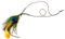Bock op Kölle Federschmuck Indianer Look Pfauen Feder Hippie Style (Kette Pfau)