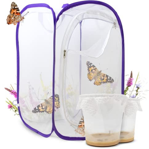 Schmetterlingszucht-Set für Kinder | Ca. 14 Raupen + großem Habitat (40x40x60 cm) | GRATIS E-Book + Lernmaterialien | Zuhause Raupen züchten ab 3 Jahren | Heimische Distelfalter Schmetterlinge züchten