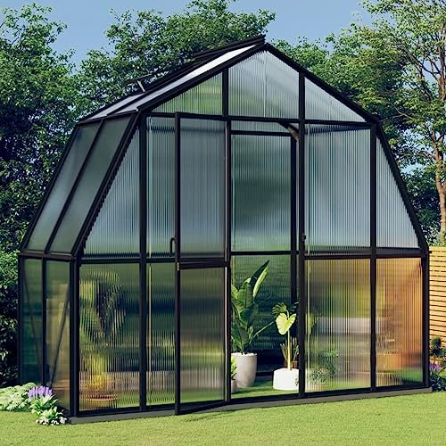 HOVOTHY Gewächshaus mit Fundamentrahmen Anthrazit 3,3 m² Aluminimum 282x118x243 cm Wintergarten Gewächshaus Winterfest Tomatengewächshaus Gewächshaus Balkon Schutz der Pflanzen vor Kälte
