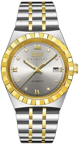TEINTOP I&W Armbanduhren für Herren Mechanische Uhr Japanische Automatikwerk Uhren (Silber Gold Grau)