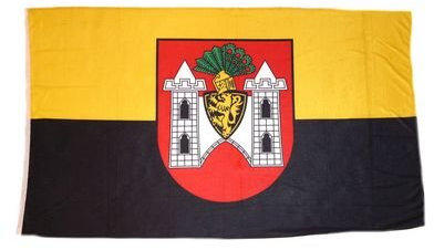 Fahne/Stadtflagge Plauen Vogtland 90 x 150 cm Flagge