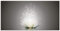ARTland Wanddeko Glasbilder Wandbild Glas Bild einteilig 100x50 cm Querformat Blumen Lotusblume Blüte Natur Seerose Abstrakt Kunst S7FD