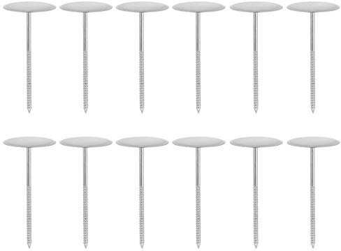 BESTonZON 12pcs Stainless Steel Flower Nail for Cake Decoration Creative Baking Tools for Pastry and Dessert Molding for Cupcakes Cookies and Pies
