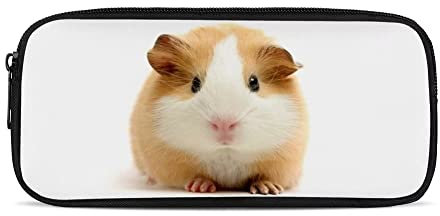 ATOurDealss Federmäppchen mit niedlichem Meerschweinchen-Aufdruck, für Büro, Schreibwaren, Organizer, Federmäppchen, langlebig, Reißverschluss, Make-up-Pinseltaschen für Jungen und Mädchen,