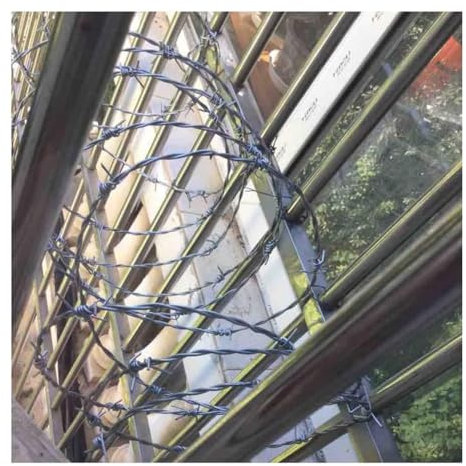 Rotolo Di Filo Spinato In Acciaio Inox, Filo Da 1,8 Mm - Doppio Filo - Con Punte A 4 15 Mm - Distanza Di 12 Cm - Per Scoraggiare I Furti, Protezione Esterna(10m/32.81ft)