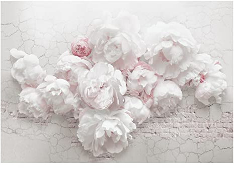 WallArena - Vlies Fototapete Blumen Betonoptik Pfingstrosen 368x254 cm - Fototapeten - Tapeten - für Wohnzimmer Schlafzimmer - Vliestapete Wandtapete Tapete 3D Effekt- inkl. Kleister
