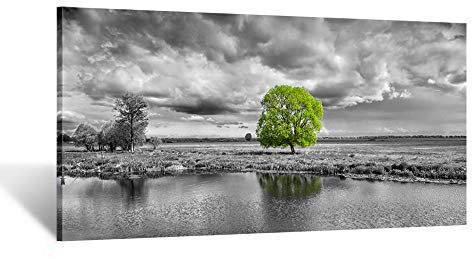 Kreative Arts - Leinwandbild, Motiv: grüner Baum, Landschaft in Schwarz und Weiß, 5-teilig, modern, Giclée, gerahmt, Kunstwerke für Wohnzimmer, Dekoration, 101,6 x 50,8 cm