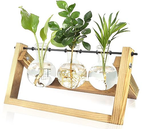 Vase en Verre Vase à Ampoule avec Support en Bois Vintage Vase Plante Hydroponique Pot de Fleurs Station De Propagation pour Décoration de Bureau o Maison 3 Récipients en Verre