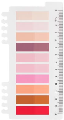 Ordinate 200 Stück Haftnotizen Tabs, Gray Stile Pagemarker Selbstklebend Pastell Beschreibbare Haftstreifen Klebezettel mit Lineal für Seitenmarkierung Lesezeichen (C-200 Stück Light Rose)