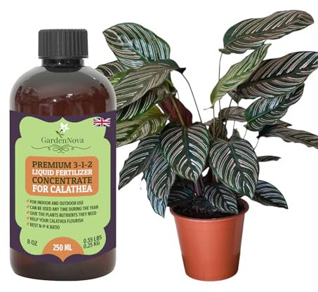 Premium Liquid Calathea Fertilizer - 3-1-2 Concentrate for Indoor Plants and Flowers by GardenNova | Organic Plant Food for Calatheas - 8oz