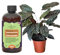 Premium Liquid Calathea Fertilizer - 3-1-2 Concentrate for Indoor Plants and Flowers by GardenNova | Organic Plant Food for Calatheas - 8oz