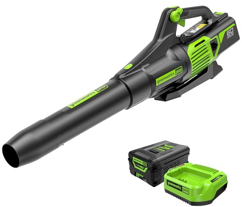 Greenworks GD60BPB Souffleur à Feuilles sans Fil 60 V Li-ION - Vitesse d'air 260 km/h, débit 1050 m³/h - Souffleur arrière avec Batterie 4 Ah et Chargeur
