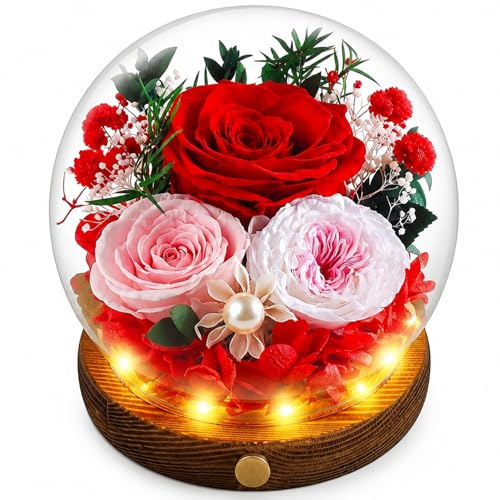 Elover Preserved Roses in Glass Dome with LED Light – Long Lasting Real Flowers,Forever Eternal Rose for Mother's Day,Valentine's Day,Birthday Gifts for Women,Mum,Wife,Girlfriend (Red)