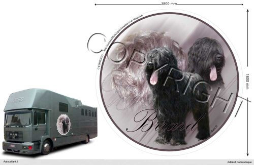 Circular Aufkleber Hund 180 Cm Berger de Brie