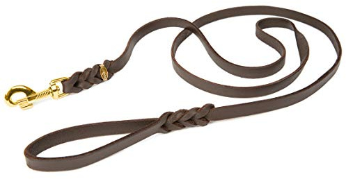 Hundeleine Leder 2,2m große Hunde Fettlederleine [mit Handschlaufe] Lederleine geflochten – robuste Leine Hund mit Messingbeschlägen – Führleine Hund & Freihandleine zum Umhängen, Braun 12mm