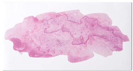 Rayher 31630258 Motivo cera Watercolor, rosa, 9x16,9cm, bus.blis. 1pz