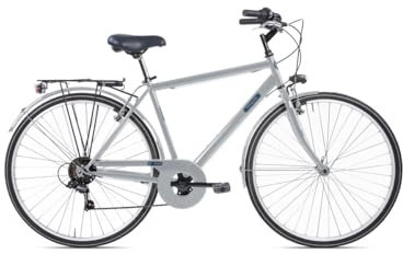 Letoule Tropaiz Citybike, 28 Zoll (71 cm), 6-Gang, Stahl-Man, Aschgrau (hellgrau), Größe 54