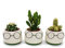Exotenherz Lot de 3 pots de fleurs de cactus - Avec visage et lunettes - Environ 7-10 cm de haut