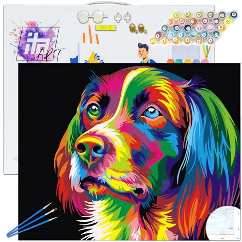 ITA Art Malen nach Zahlen Komplett Set mit Keilrahmen, Acrylfarben, Pinseln, Zubehör, Geschenkbox - DIY Gemälde Bastelset Kit mit Leinwand für Erwachsene, 30x40 cm, Pop-Art Hund