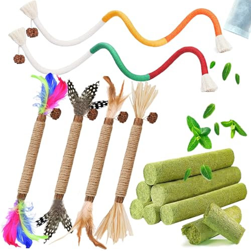GREMBEB Katzenspielzeug, 12 Stück, Katzengras, Katzenminze, Spielzeug für den Innenbereich, Kätzchenspielzeug, Katzenkaustab