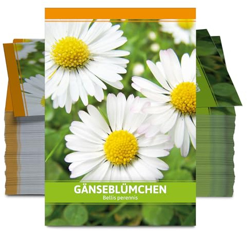 FLORTUS W5246-100x Gänseblümchen für Werbezwecke (100 Tütchen) (Gänseblümchensamen)