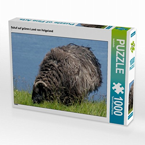 CALVENDO Puzzle Schaf auf grünen Land von Helgoland | 1000 Teile Lege-Größe 64 x 48 cm Foto-Puzzle für glückliche Stunden
