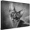 Julia-Art - Bilder Sphynx Katze Leinwand mit Keilrahmen 80 x 60 cm Leinwandbild XXL Wandbild Tiere Kunstdrucke Tierwelten Bild Wanddesign Wanddekoration c-642v-116